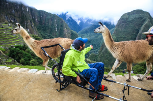 cadeirante com braço estendido em direção das lhamas com paisagem de montanhas ao fundo
