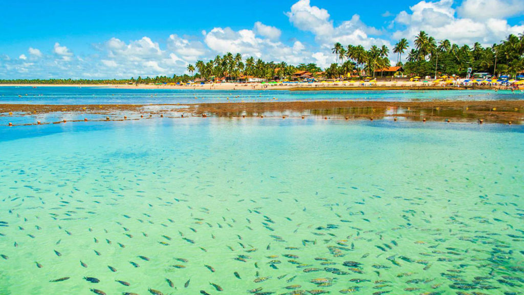 de agua cristalina que dá para ver os peixinhos