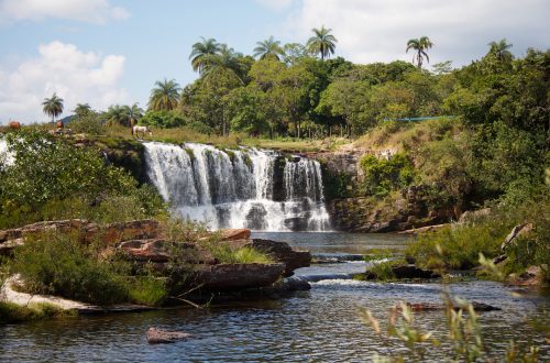 Cachoeira no meio da mata com vasta vegetação e palmeiras